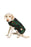 CHILLY DOG LLC - Navy Tartan Blanket Coat