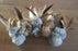 Natural Rabbit Fur & Feathers, Handmade Cat Toys, Birbits