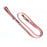 Fine Doggy Leather Leash