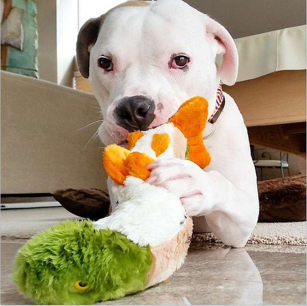 Fluff and Tuff Dog Toys - Ruby Rainbow Tro - Dog.Dog.Cat.