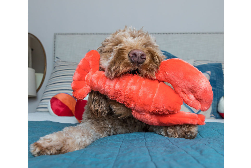 Fluff and Tuff Dog Toys - Manny Lobste