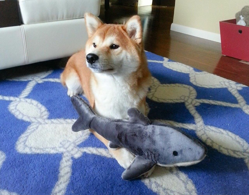 Fluff and Tuff Dog Toys -Mac The Shark - Dog.Dog.Cat.